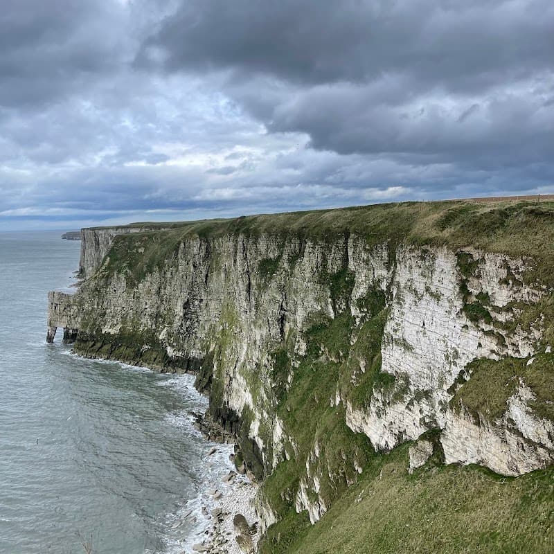 Dramatic white cliffs rise above a calm sea under a cloudy sky, with lush greenery along the cliff edges.