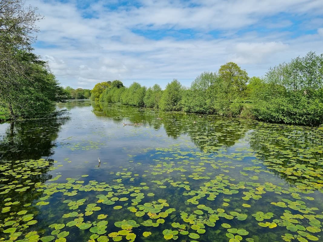 Serene waterway with lily pads, surrounded by lush greenery and trees under a partly cloudy sky.