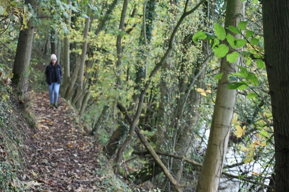 A person walks along a narrow, leafy path bordered by trees in a serene, wooded area.