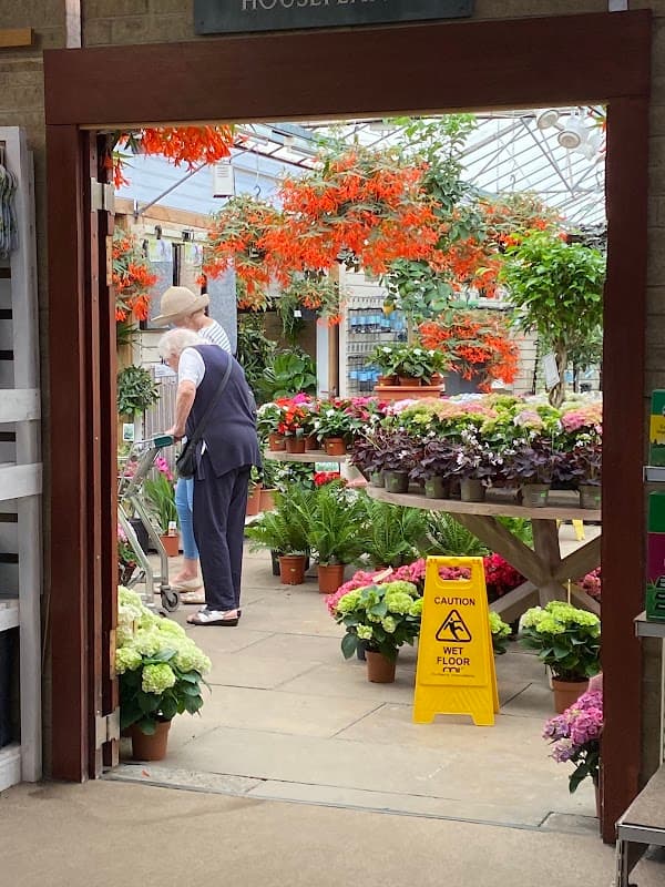 A woman browsing plants in a vibrant nursery filled with colorful flowers and a wet floor sign.
