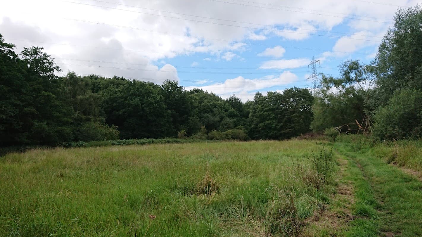Whiston Meadows