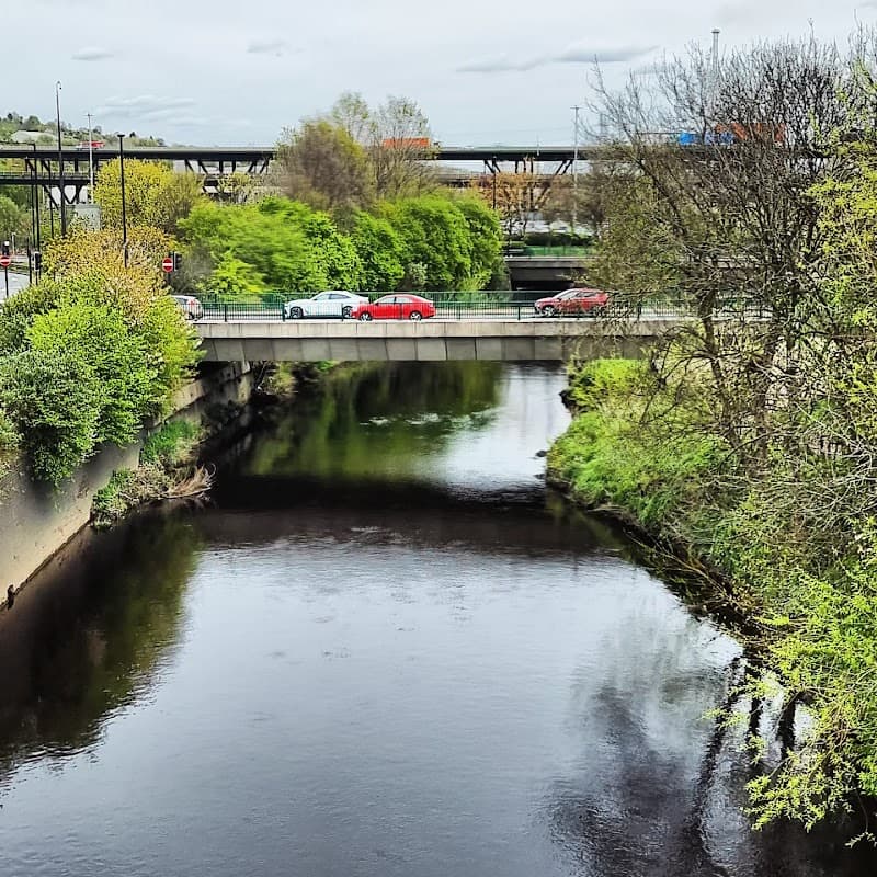 Green car park near a river, with lush greenery and vehicles on a road above, under a cloudy sky.
