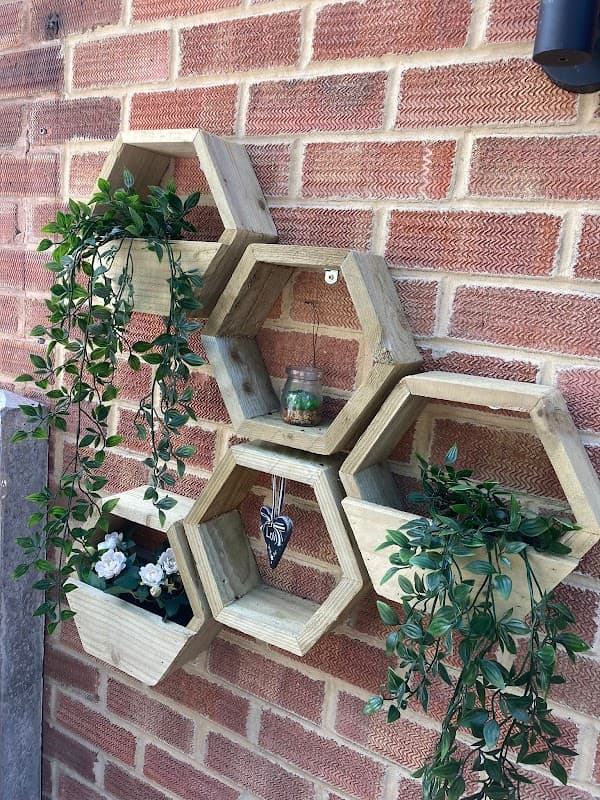 Noah's Ark Creations