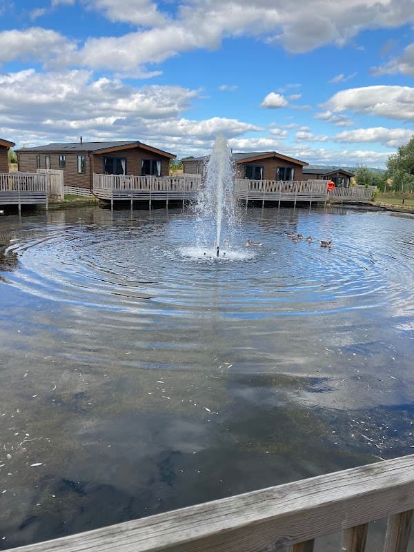 Lodges by a serene pond with a fountain, surrounded by ducks and a blue sky with fluffy clouds.