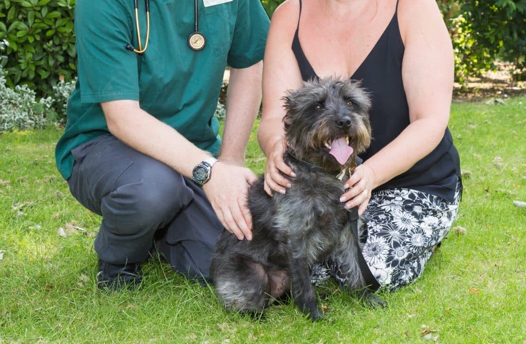Chantry Vets Castleford Veterinary Centre - Vets in castleford