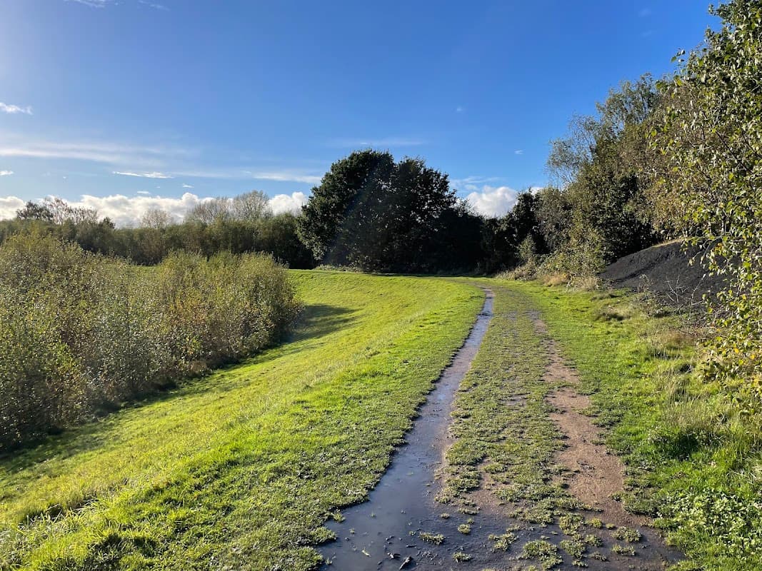 Letchmire Pastures - Nature Reserves in castleford