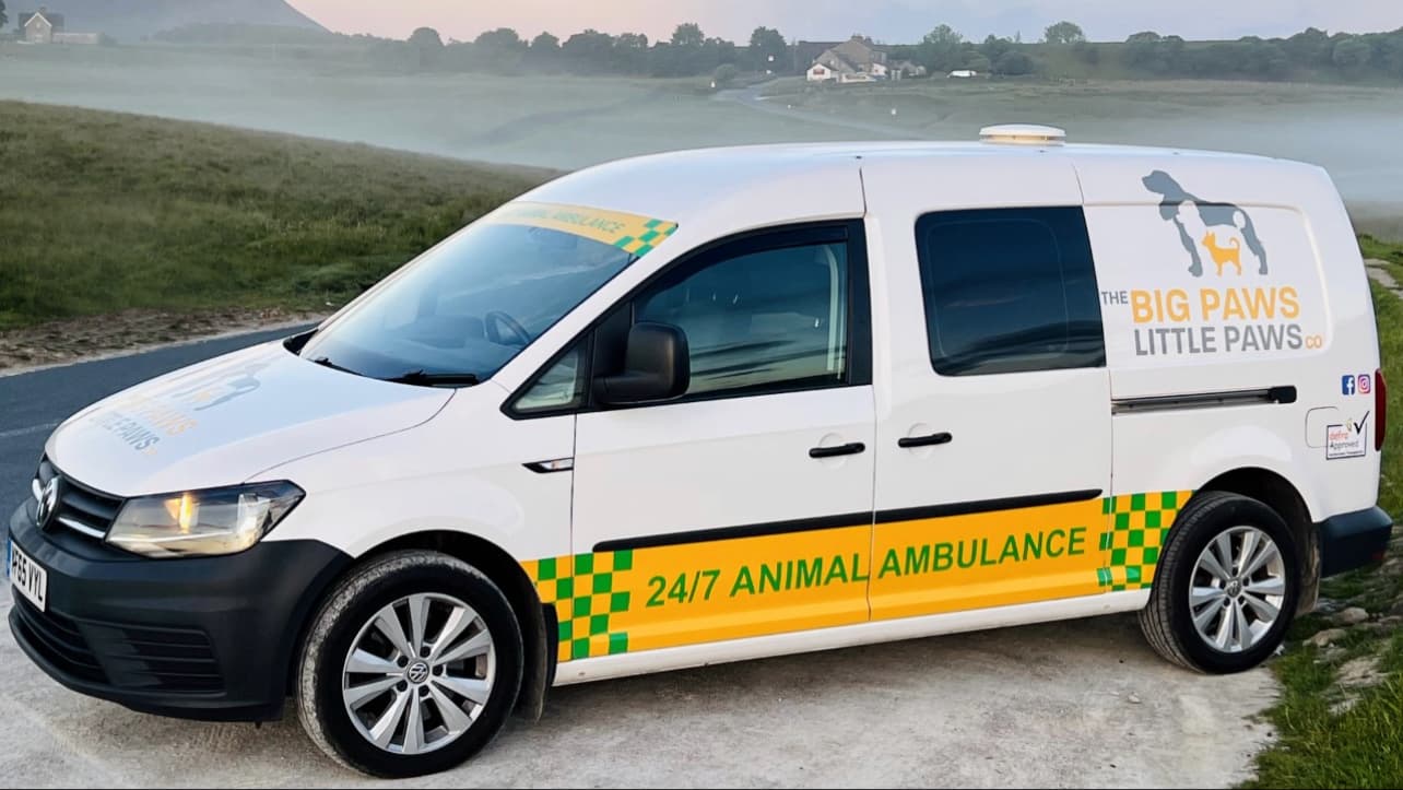 The Big Paws Little Paws Co. - Vets in castleford