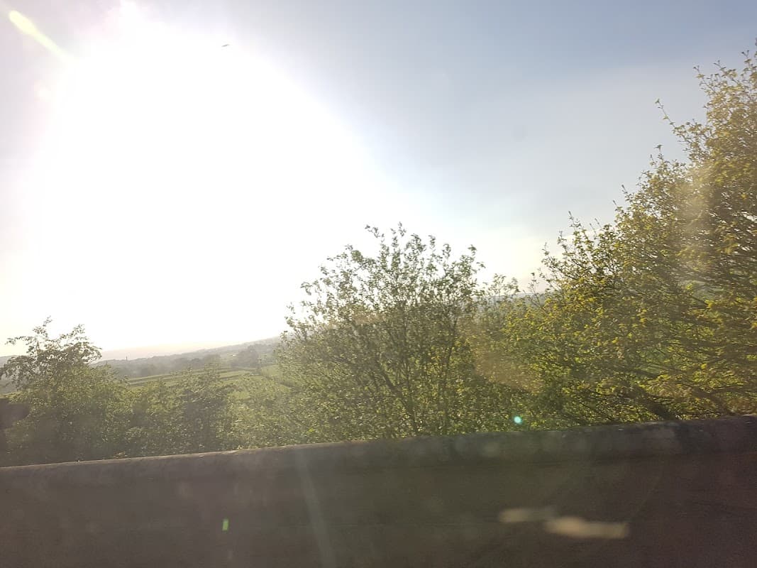 Bright sunlight illuminating lush green trees and a distant landscape in Yorkshire.