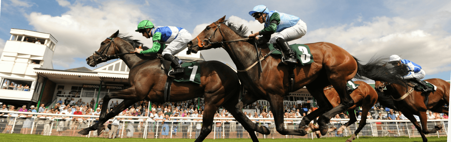 Horses racing at Catterick Racecourse, with jockeys in colorful silks and a crowd watching in the background.
