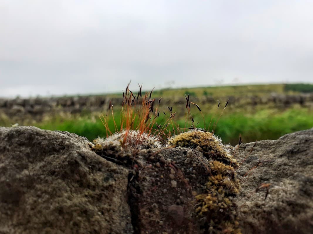Bus Stop at Akroyd Lane Shaw Croft Hill - Bus Stops in chiserley