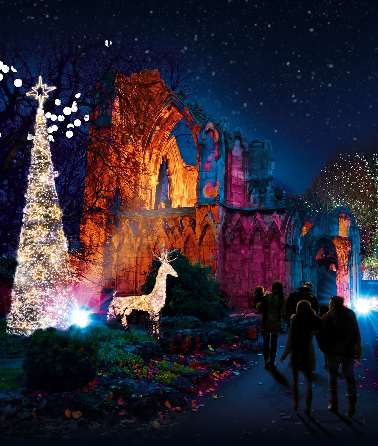 Christmas At York Museum Gardens - Garden in york