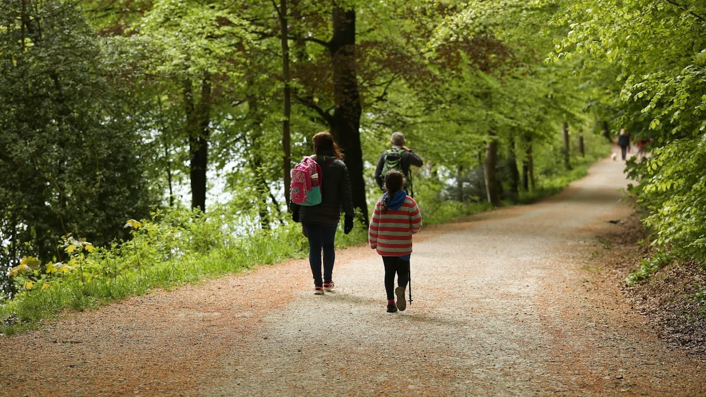Two people walk along a gravel path surrounded by lush green trees in Ingleborough Estate Nature Trail.