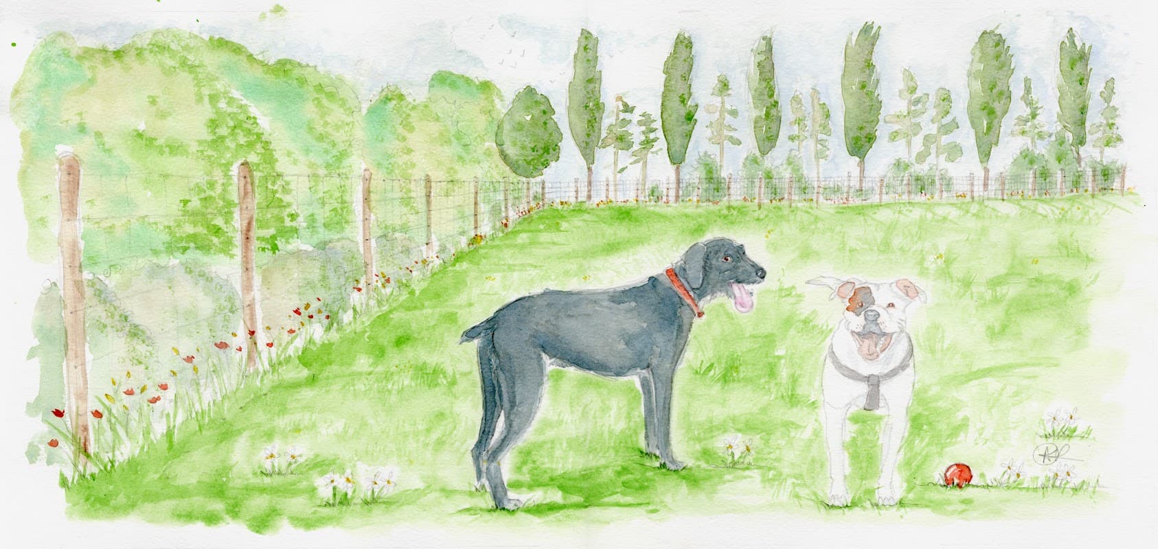 Two dogs stand in a grassy field surrounded by trees and a fence, with flowers scattered throughout the landscape.