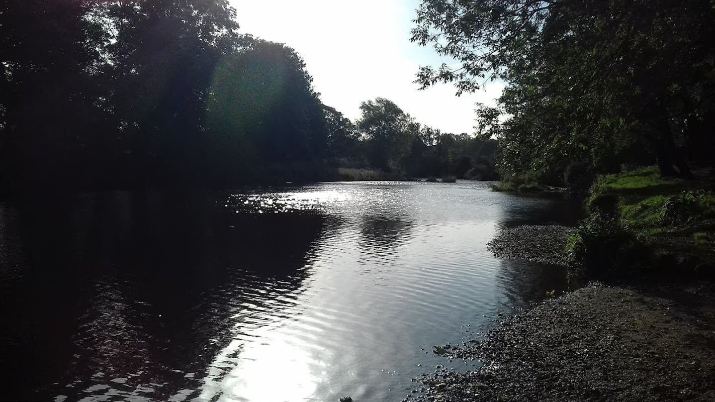 Linton Bridge over a calm river, surrounded by trees and sunlight reflecting on the water's surface.
