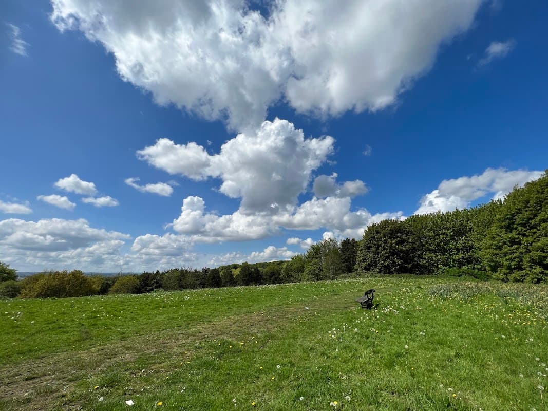 The Avenue Temple Newsam