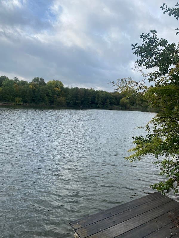Serene lake view with calm waters, surrounded by trees under a cloudy sky, featuring a wooden dock.