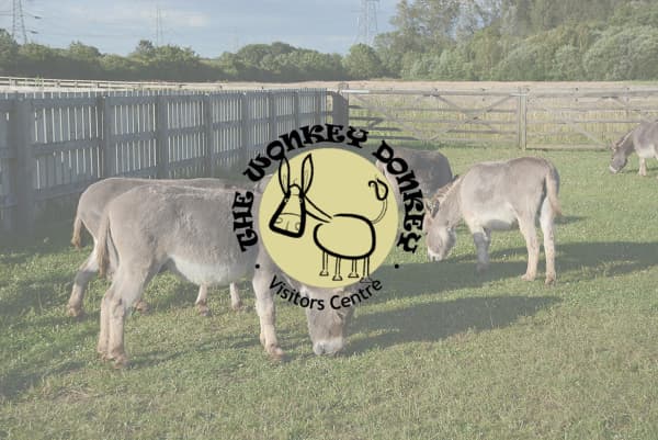 The Wonkey Donkey Visitor's Centre logo over donkeys grazing in a grassy field with wooden fencing.