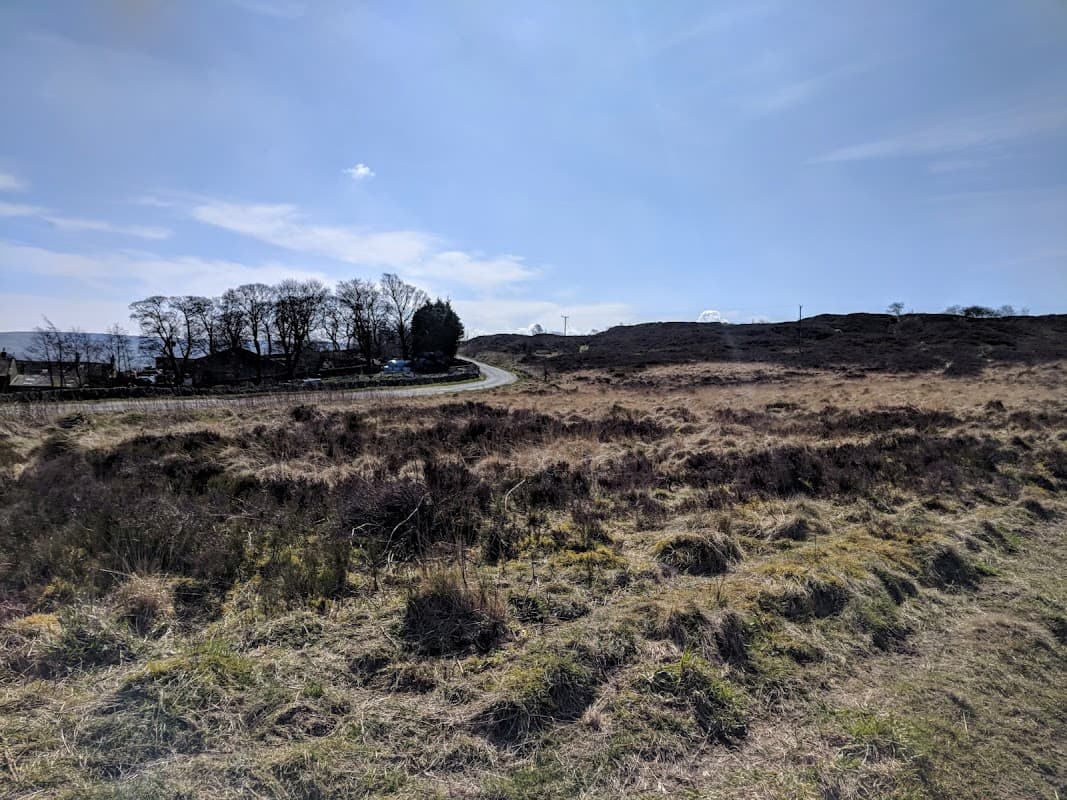 Rolling hills and sparse vegetation under a clear blue sky, with a winding road in the distance.