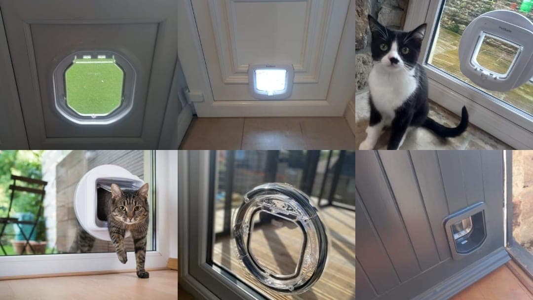 Cat Flap Fitters Yorkshire - Builders in cross roads