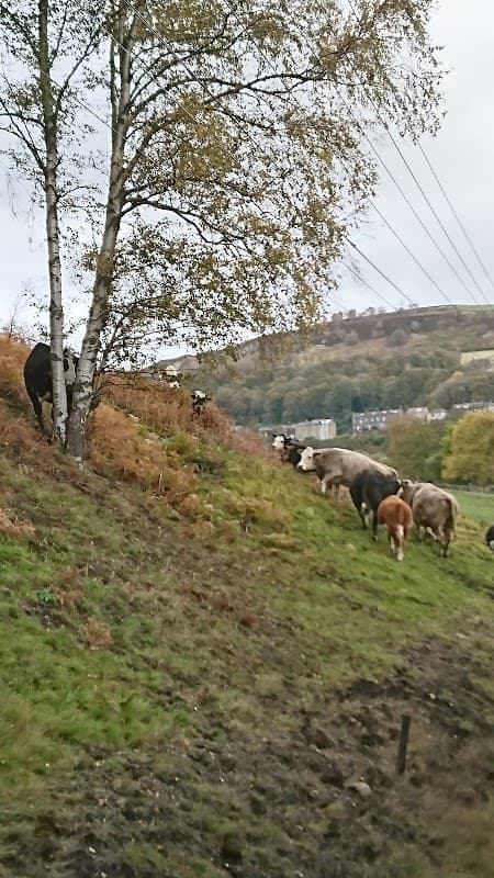 Ingrow West Station - Railway Stations in cross roads