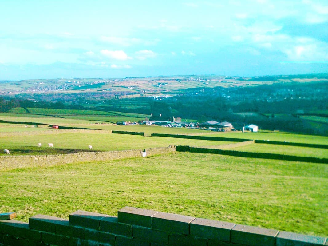 Lees Moor Cattery - Vets in cross roads
