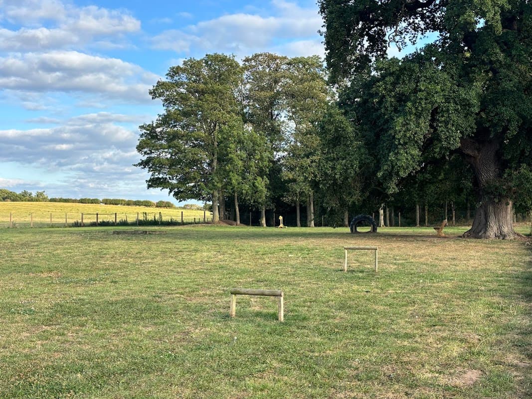 Expansive grassy area with trees, a tire obstacle, and wooden jumps under a blue sky with scattered clouds.