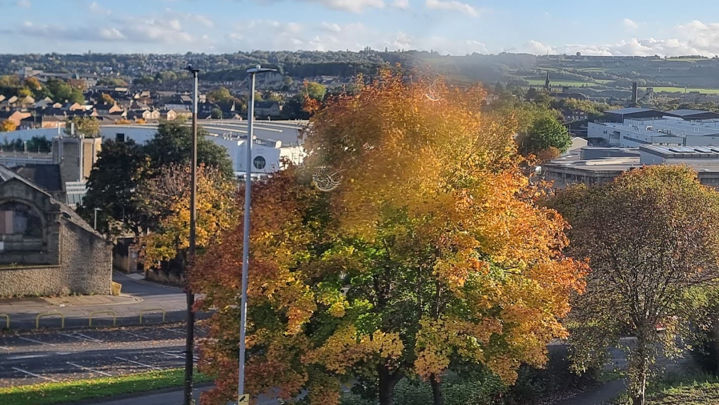 Bus Stop at Ring Rd Ashworth Road - Bus Stops in dewsbury