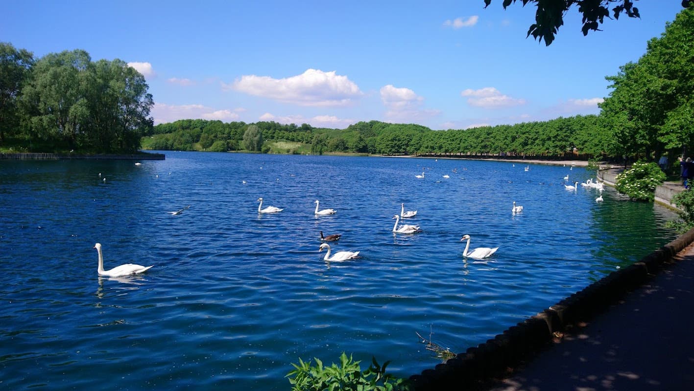 Lakeside Lake - Park in doncaster