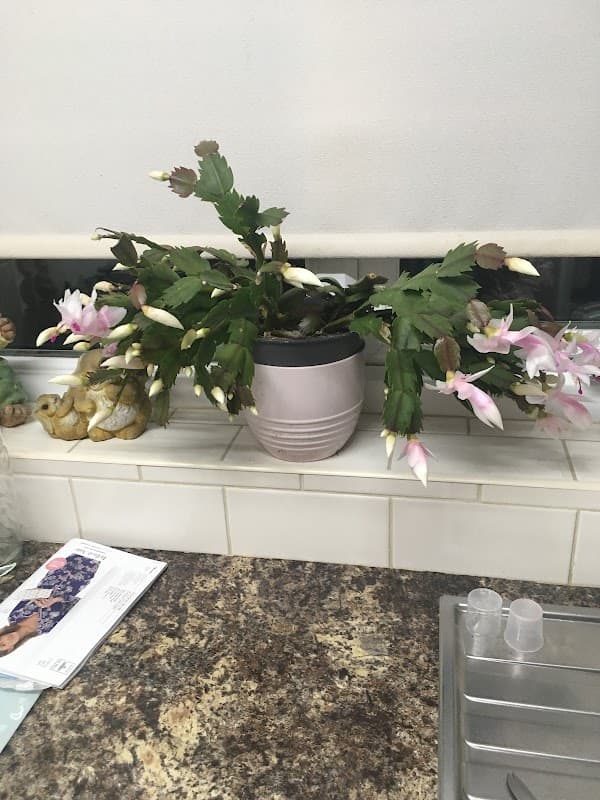 Ljm Removals - Removal Companies in doncaster