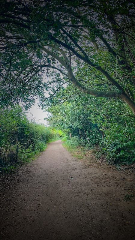 Newlands Park - Park in doncaster
