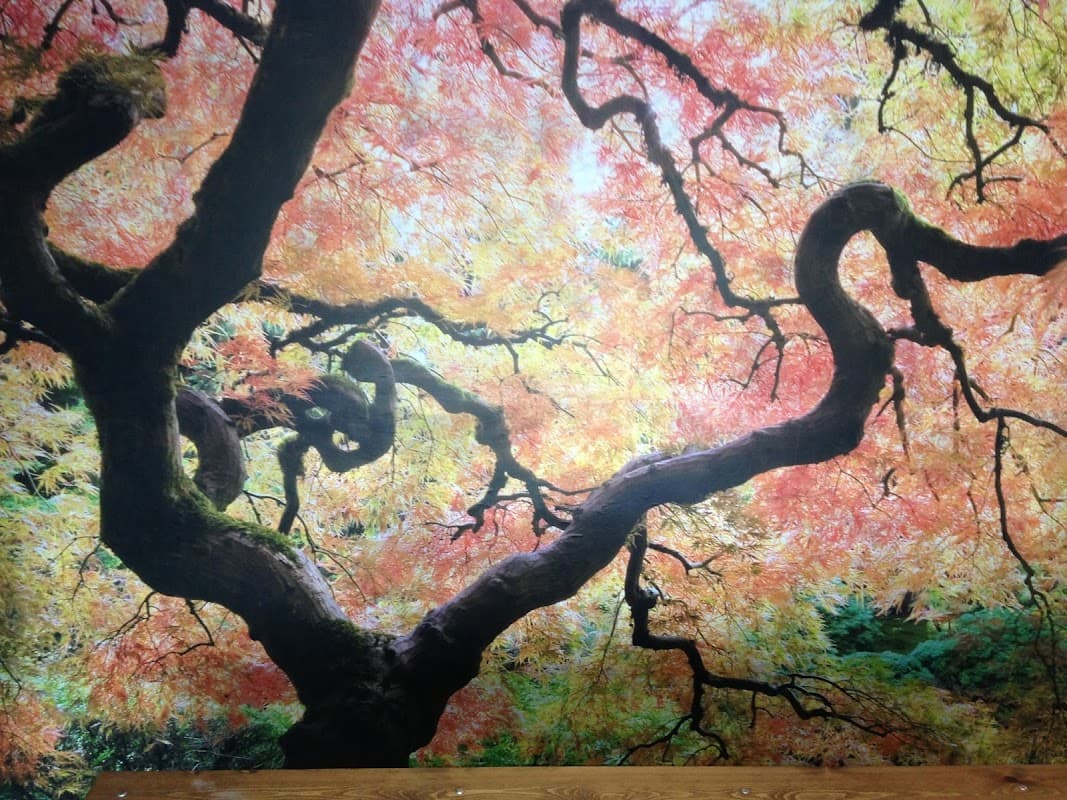 Nigel Cann Painting and Decorating - Painters & Decorators in doncaster