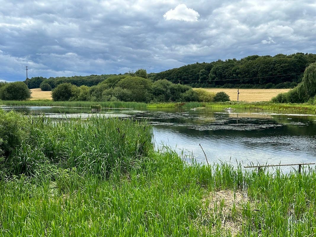 Sprotbrough Flash - Nature Reserves in doncaster