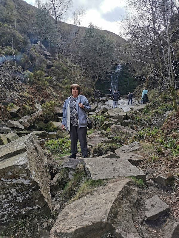 Waverley Primary Academy - Primary Schools in doncaster