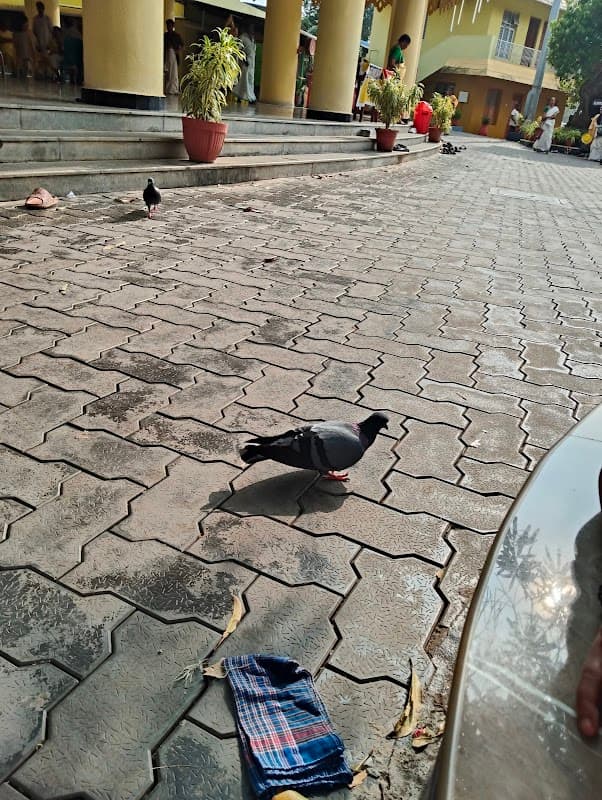 Yoga Insurance - Insurance in doncaster