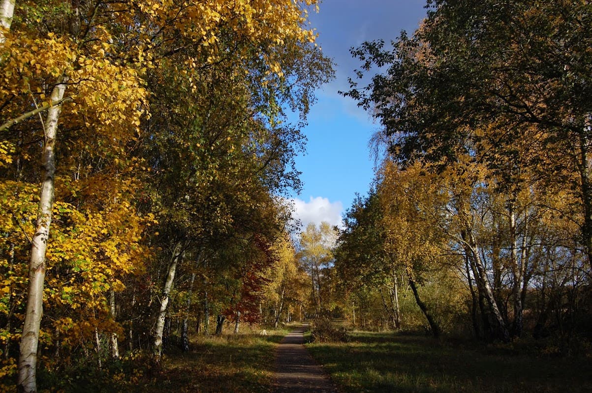 YWT Potteric Carr Nature Reserve - Nature Reserves in doncaster