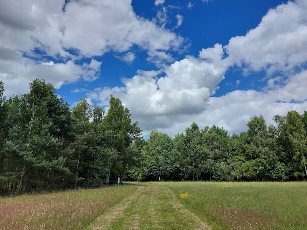 Pathway leading through tall grass and trees under a blue sky with fluffy clouds at Drax Skylark Centre.