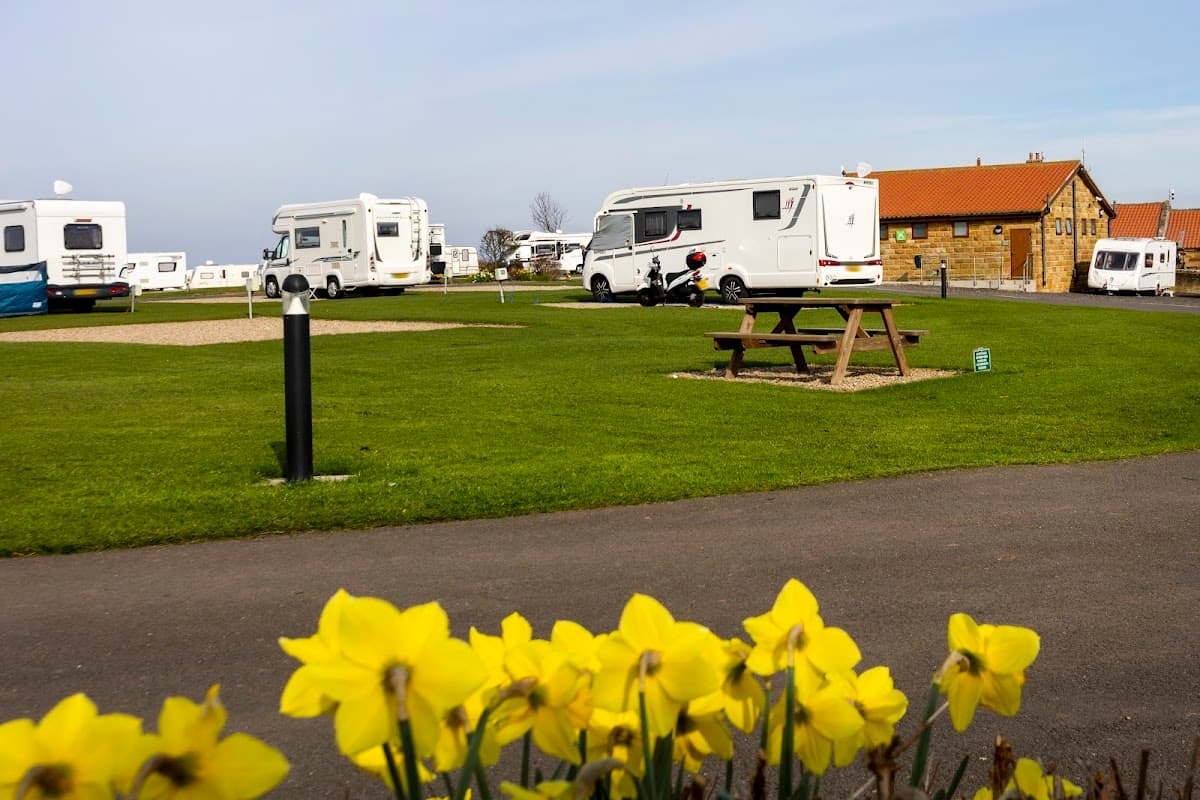 Caravan park with white motorhomes, green grass, a picnic table, and blooming yellow daffodils in the foreground.