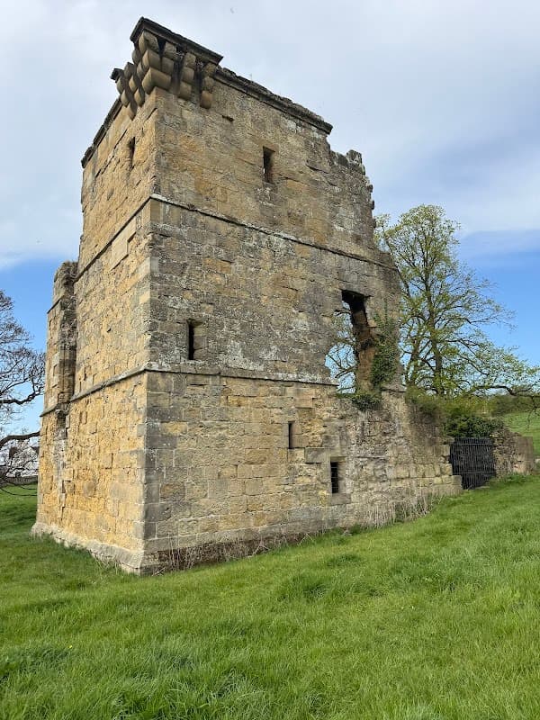 Historic stone structure of Ayton Castle surrounded by green grass and trees under a blue sky.