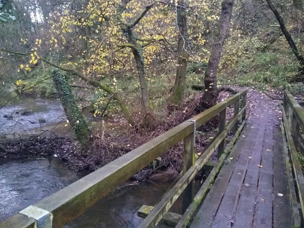 Wooden footbridge crossing a stream, surrounded by trees and autumn foliage in a serene natural setting.