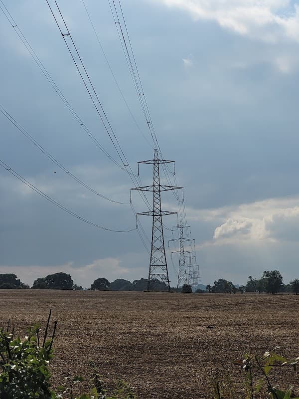 Power lines stretch across a field under a cloudy sky, with trees in the distance.