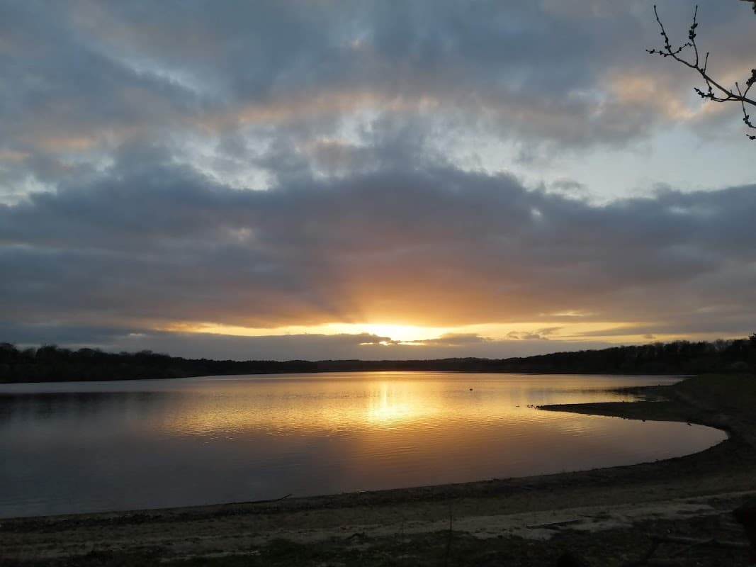 Sunset over Eccup Reservoir, with calm water reflecting clouds and a golden sky, framed by trees on the shore.