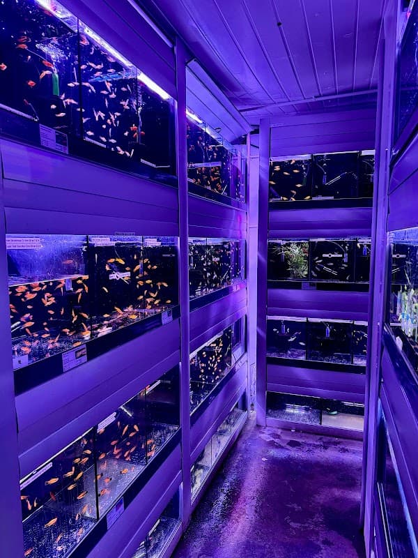 Birley Moor Aquatics Centre - Pet Shops in eckington