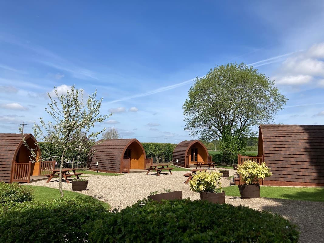 Glamping pods and picnic areas surrounded by greenery under a blue sky at Dalby Forest Campsite, Yorkshire.