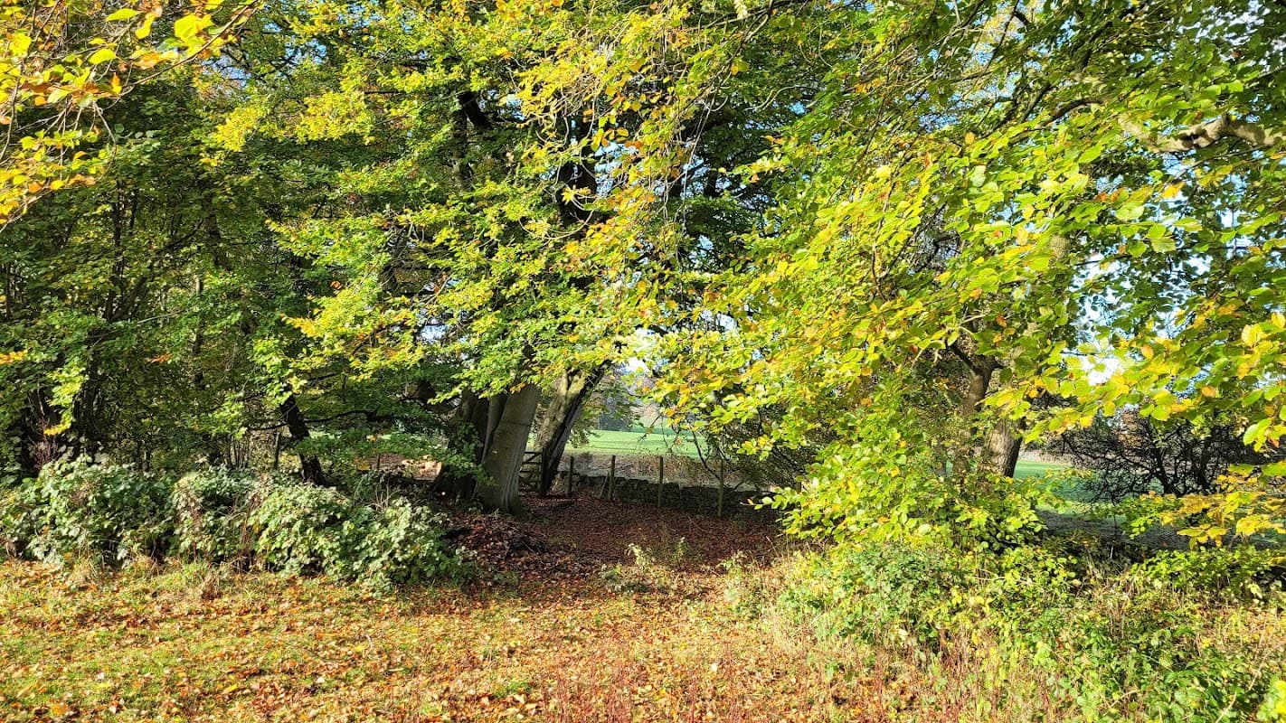 Lush greenery surrounds a tranquil scene with colorful autumn leaves and a glimpse of open fields in the background.