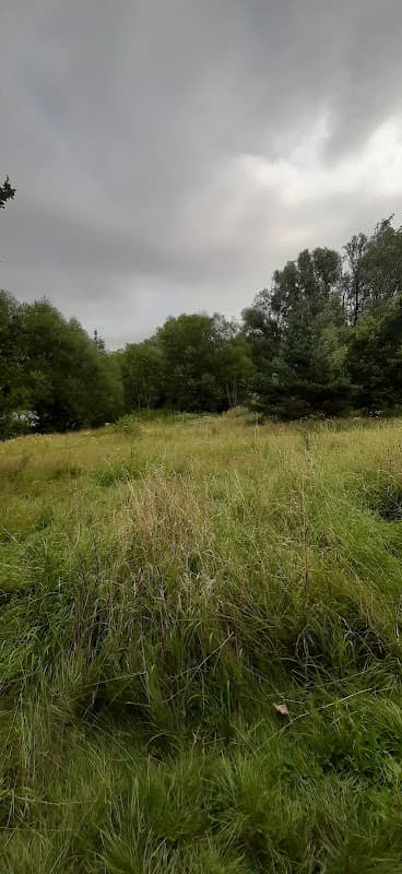Lush green grass and trees under a cloudy sky at Elsecar Station Car Park in Yorkshire.