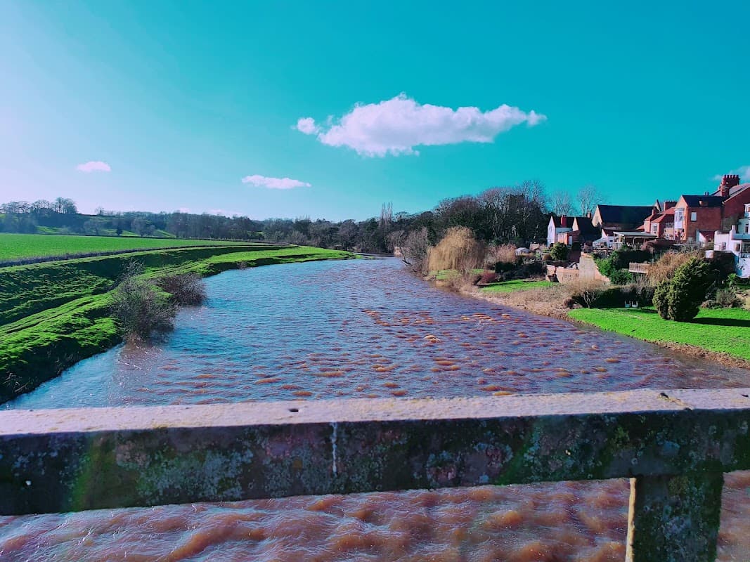 Scenic view of a river flowing through lush green fields, with houses lining the banks under a bright blue sky.