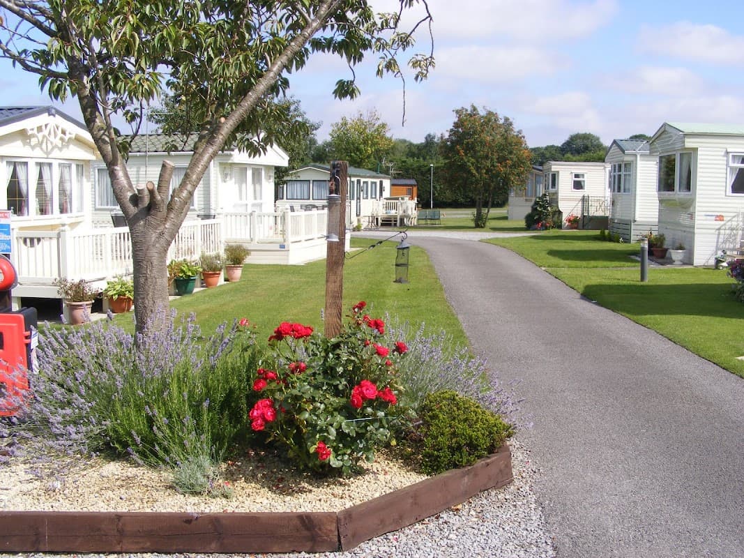 Campsite pathway lined with holiday homes, blooming flowers, and greenery under a blue sky in Eryholme, Yorkshire.
