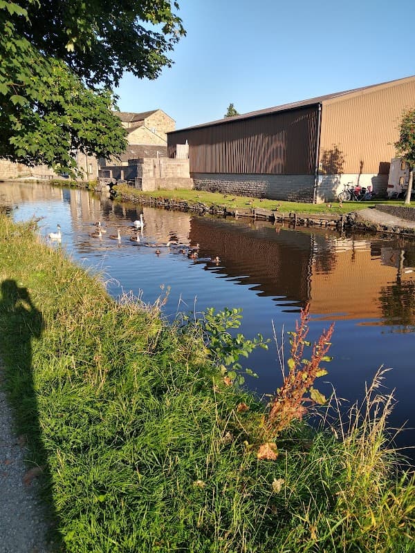 Calm canal lined with grass, ducks swimming, and buildings reflecting in the water at Eshton Road Caravan Park.