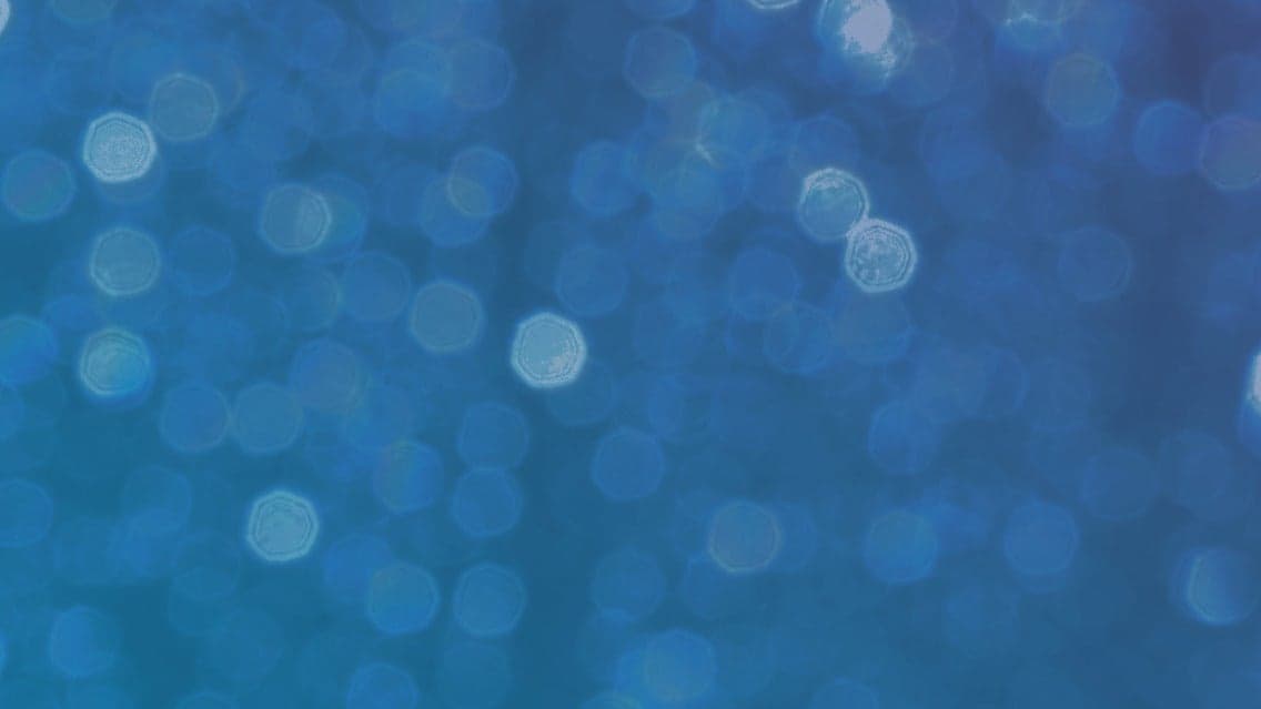 Fruity Winter Wonderland!