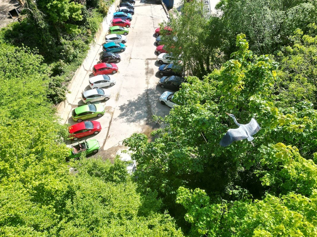 Drive: your way - Car Dealers in exley